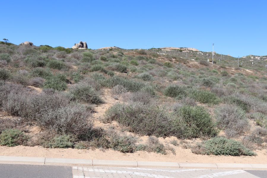 0 Bedroom Property for Sale in Steenbergs Cove Western Cape